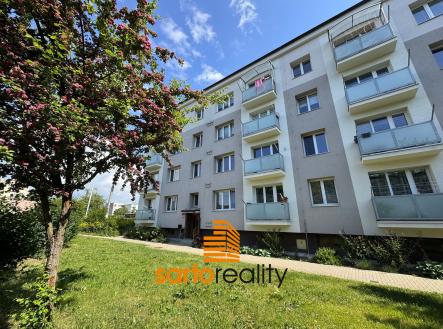 IMG_6204 | Pronájem bytu, 1+kk, 23 m²