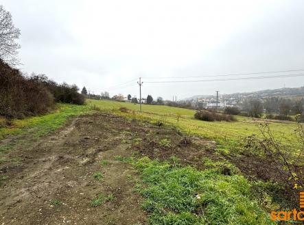 IMG_E0702 | Prodej - pozemek, zahrada, 1 491 m²