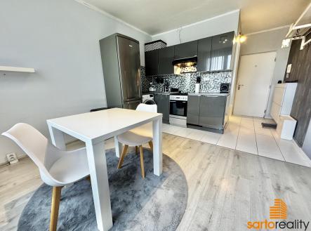 IMG_E3409 | Pronájem bytu, 1+1, 34 m²