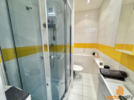 IMG_E3426 | Pronájem bytu, 1+1, 34 m²