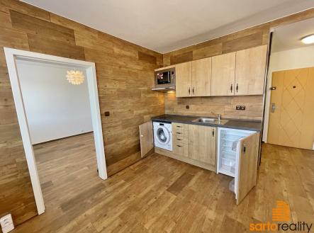 IMG_0948 | Pronájem bytu, 1+1, 33 m²