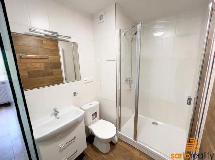 IMG_1013 | Pronájem bytu, 1+1, 33 m²