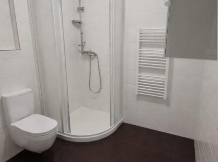 . | Pronájem bytu, 2+kk, 81 m²