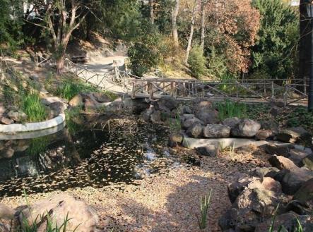 . | Pronájem bytu, 2+kk, 62 m²