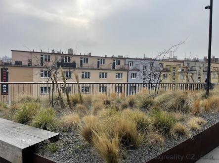 Pronájem bytu, 3+kk, 95 m² obrázek