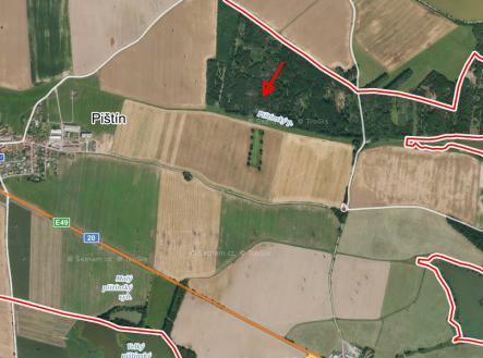 Prodej - pozemek, les, 1 919 m² obrázek