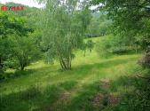 Prodej - pozemek, trvalý travní porost, 7 666 m²