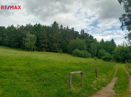 1.jpg | Prodej - pozemek, trvalý travní porost, 7 666 m²