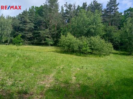 11.jpg | Prodej - pozemek, trvalý travní porost, 7 666 m²