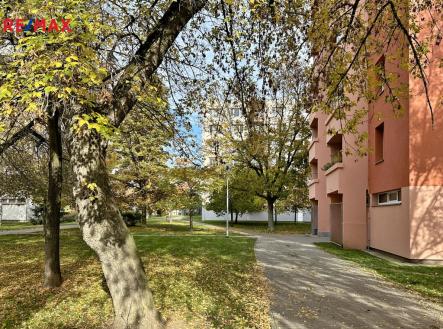 23.jpg | Pronájem bytu, 3+1, 65 m²