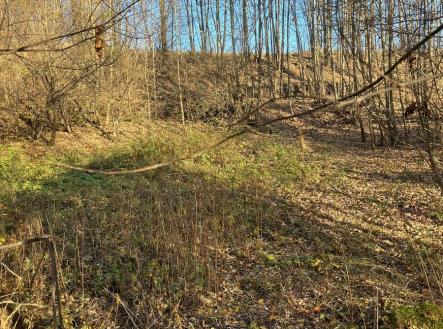 img-2206.jpeg | Prodej - pozemek pro bydlení, 1 516 m²