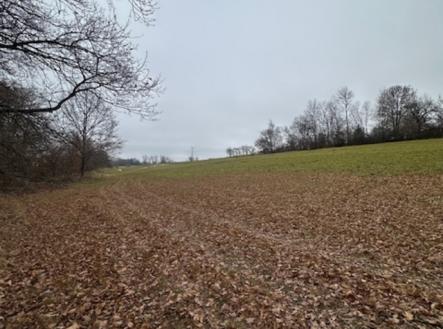 03.jpg | Prodej - pozemek pro bydlení, 7 410 m²