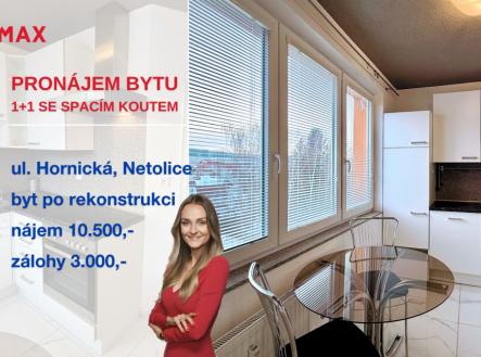 hornicka-netolice.png | Pronájem bytu, 1+1, 44 m²
