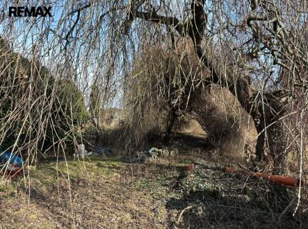 whatsapp-image-2026-03-06-at-10.17.18-3.jpeg | Prodej - dům/vila, 130 m²