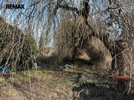 whatsapp-image-2026-03-06-at-10.17.18-3.jpeg | Prodej - dům/vila, 130 m²