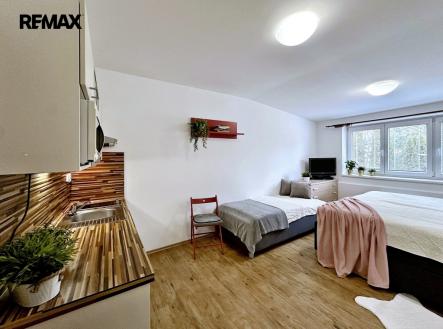 Prodej bytu, 1+kk, 26 m² obrázek