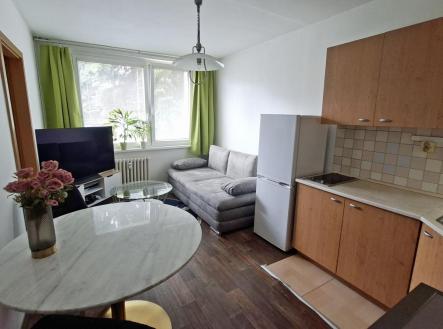 obývací pokoj 1.jpg | Pronájem bytu, 2+kk, 39,3 m²