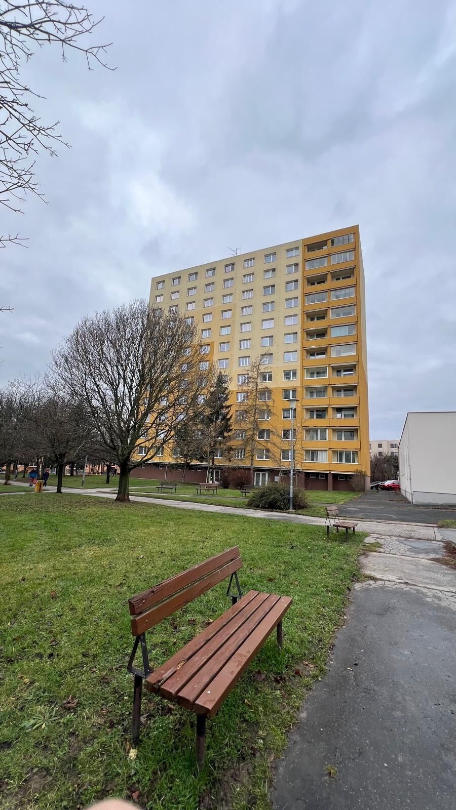 Pronájem bytu 2+1, 55 m², 2. patro, Žabovřesky – klidná lokalita, zasklená lodžie, volné ihned