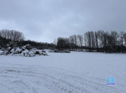 IMG_3749.JPG | Prodej - pozemek, trvalý travní porost, 7 747 m²