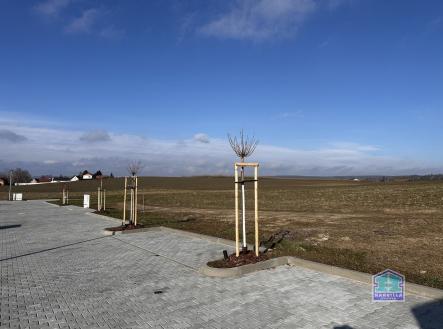 01 | Prodej - pozemek pro bydlení, 1 105 m²