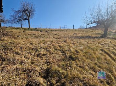 20250320_101101 | Prodej - dům/vila, 100 m²