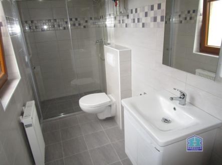 IMG_9490 | Pronájem bytu, 1+kk, 23 m²