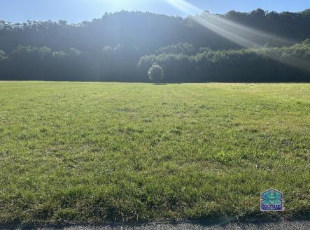 IMG_6925 | Prodej - pozemek, trvalý travní porost, 2 000 m²