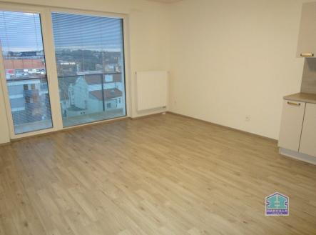 IMG_9835 | Pronájem bytu, 1+kk, 36 m²
