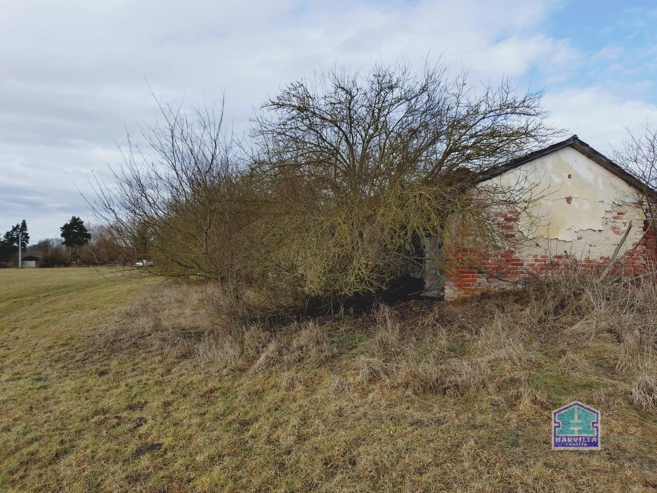 WhatsApp Image 2026-02-12 at 14.27.56