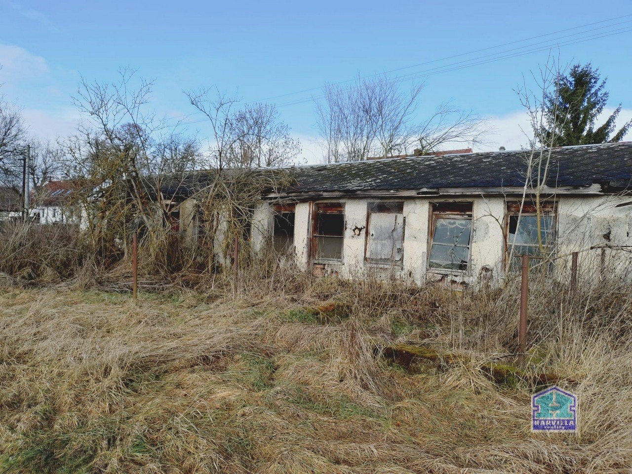 WhatsApp Image 2026-02-12 at 14.27.58 (2)