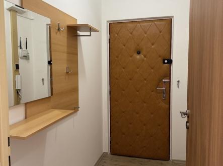 IMG_3980 | Pronájem bytu, 2+1, 47 m²