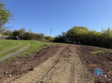 01 | Prodej - pozemek pro bydlení, 2 955 m²