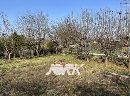 Prodej - pozemek, zahrada, 319 m²