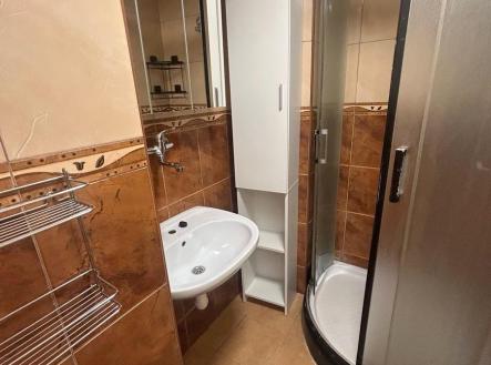 IMG_1011 (003).jpg | Pronájem bytu, 2+kk, 46 m²