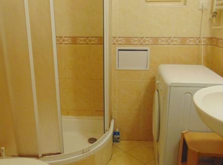 DSC03524.JPG | Pronájem bytu, 1+kk, 28 m²