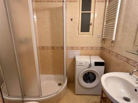 IMG_0888 (002).jpg | Pronájem bytu, 1+kk, 28 m²