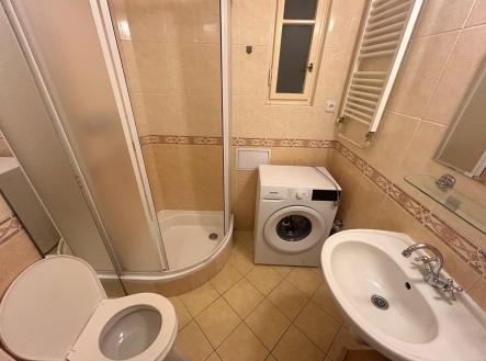 IMG_1711 (002).jpg | Pronájem bytu, 1+kk, 28 m²