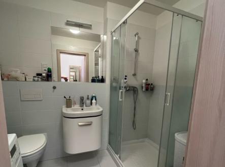 3.jpg | Pronájem bytu, 1+kk, 28 m²