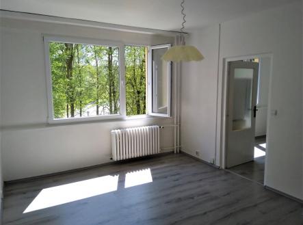 IMG-20221102-WA0021.jpg | Pronájem bytu, 2+kk, 47 m²
