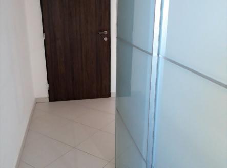 20210228_151710_resized.jpg | Pronájem bytu, 1+kk, 31 m²