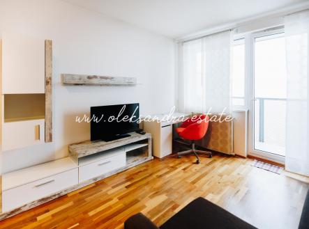 TIMGUM-0265.jpg | Pronájem bytu, 1+kk, 32 m²