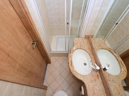 DSC_7119.jpg | Pronájem bytu, 1+kk, 59 m²