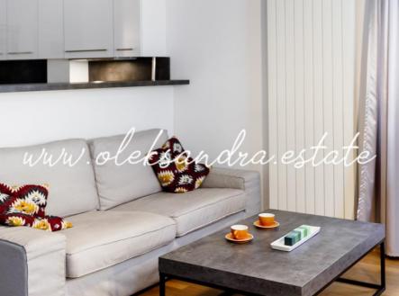 IMG_8412.jpg | Pronájem bytu, 2+kk, 51 m²