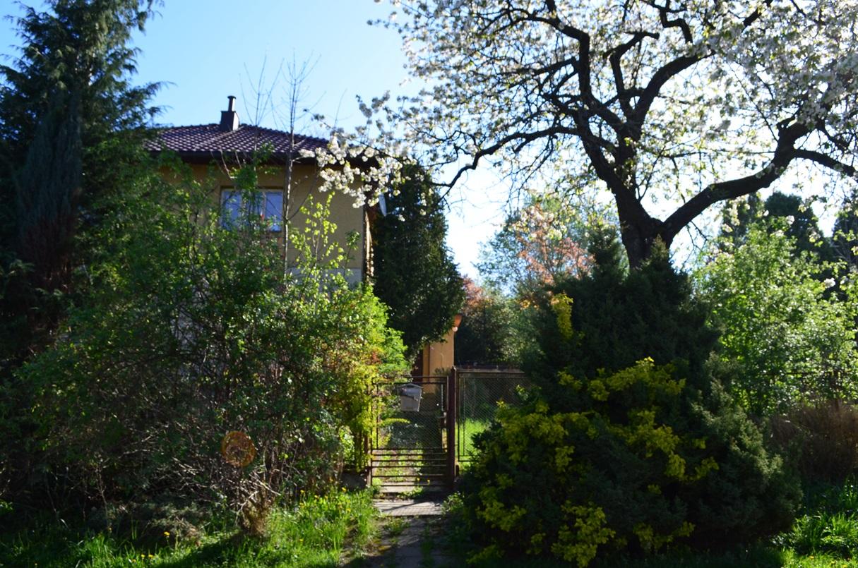DSC_0027.JPG