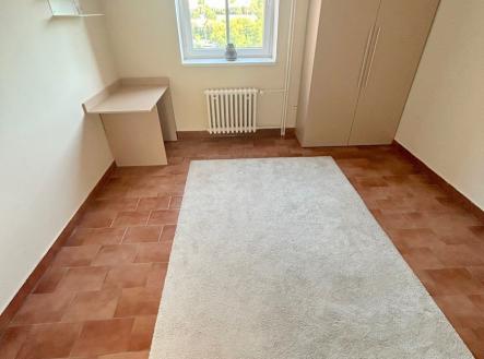 IMG_3015 (002).jpg | Pronájem bytu, 1+1, 28 m²