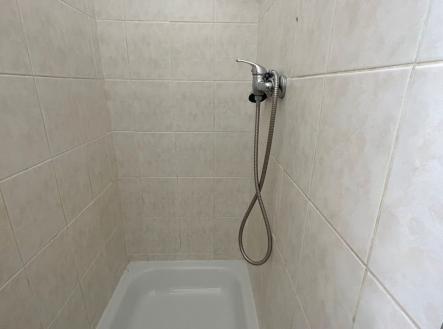 IMG_3009 (002).jpg | Pronájem bytu, 1+1, 28 m²