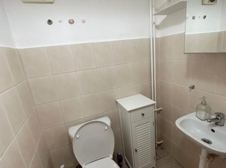 IMG_3004 (002).jpg | Pronájem bytu, 1+1, 28 m²