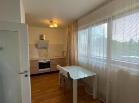 82ba829e-509d-4bd4-8da7-564875624a58.jpeg | Pronájem bytu, 1+kk, 38 m²