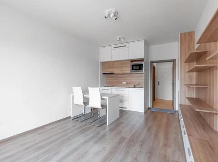 9.jpg | Pronájem bytu, 1+kk, 33 m²