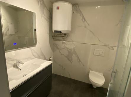 8ebe7728-4661-4df8-af0a-5b7208d53136.jpg | Pronájem bytu, 1+kk, 30 m²